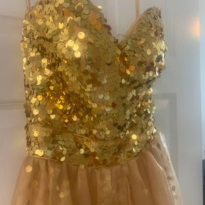 Prom, performance or pageant gown.